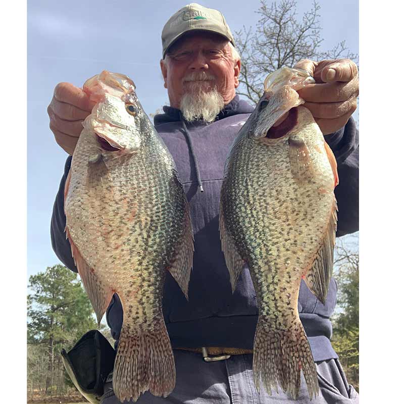 AHQ INSIDER Lake Wateree (SC) 2023 Week 11 Fishing Report – Updated March 16