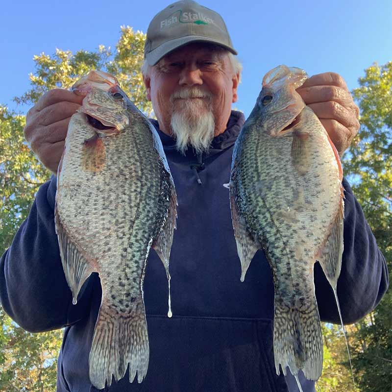 AHQ INSIDER Lake Wateree (SC) 2022 Week 42 Fishing Report – Updated October 20