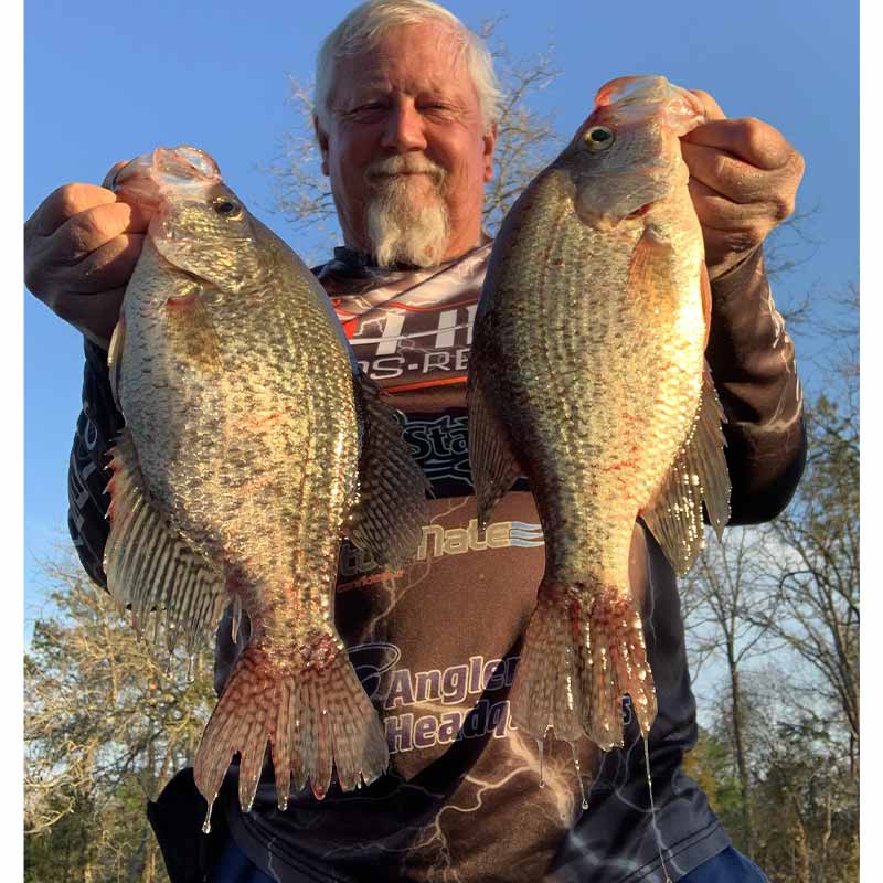 AHQ INSIDER Lake Wateree (SC) Spring 2022 Fishing Report – Updated February 17
