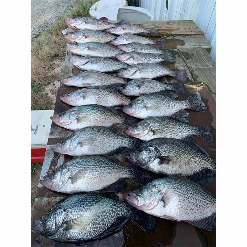 AHQ INSIDER Lake Wateree (SC) Spring 2021 Fishing Report – Updated May 26