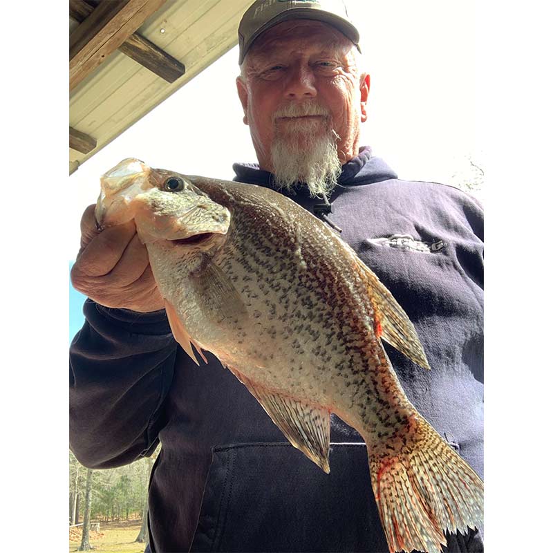 AHQ INSIDER Lake Wateree (SC) 2023 Week 10 Fishing Report – Updated March 9