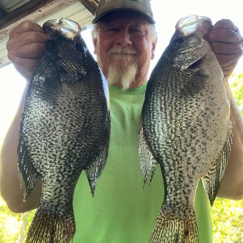 AHQ INSIDER Lake Wateree (SC) 2023 Week 18 Fishing Report – Updated May 4