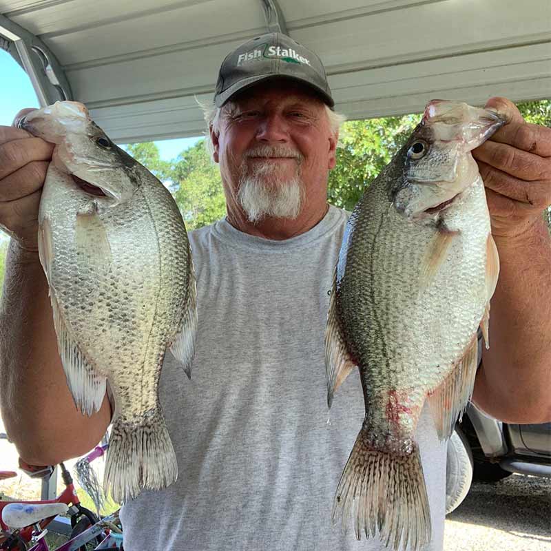 AHQ INSIDER Lake Wateree (SC) Fall Fishing Report – Updated September 24