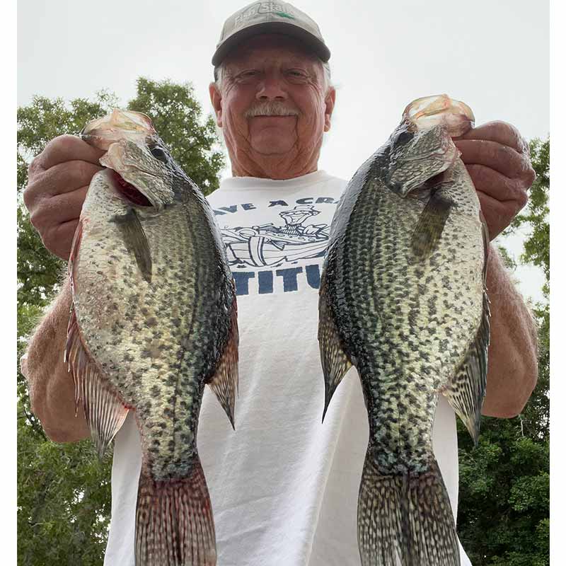 AHQ INSIDER Lake Wateree (SC) 2023 Week 34 Fishing Report – Updated August 24