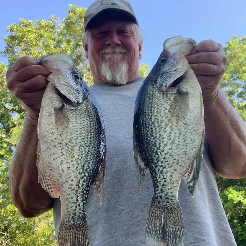 AHQ INSIDER Lake Wateree (SC) 2023 Week 19 Fishing Report – Updated May 11