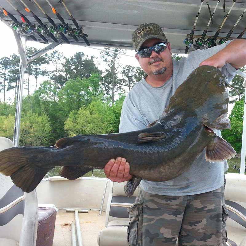 AHQ INSIDER Lake Wylie (NC/SC) 2022 Week 31 Fishing Report – Updated August 4