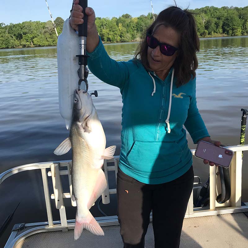 AHQ INSIDER Lake Wylie (NC/SC) Spring 2020 Fishing Report – Updated May 28