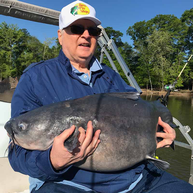 AHQ INSIDER Lake Wylie (NC/SC) Spring 2021 Fishing Report – Updated April 16