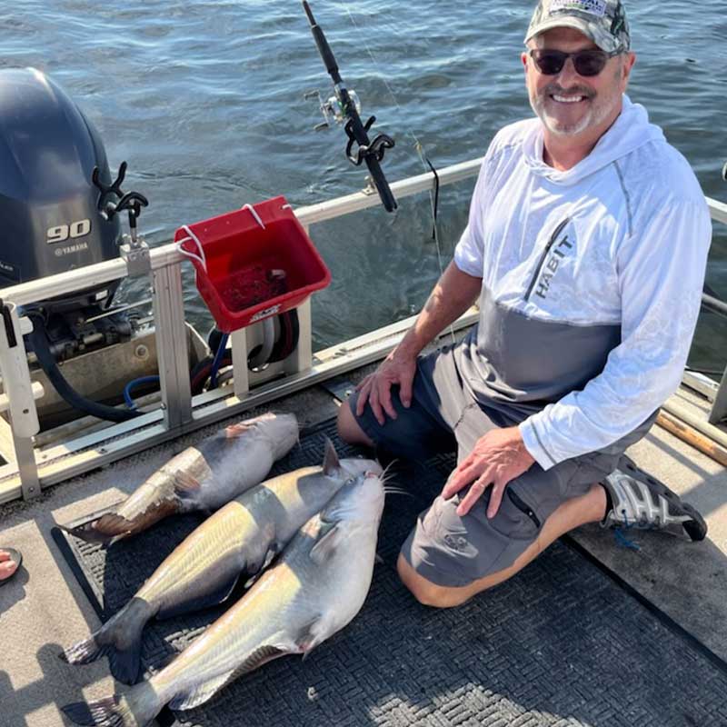 AHQ INSIDER Lake Wylie (NC/SC) 2022 Week 34 Fishing Report – Updated August 22