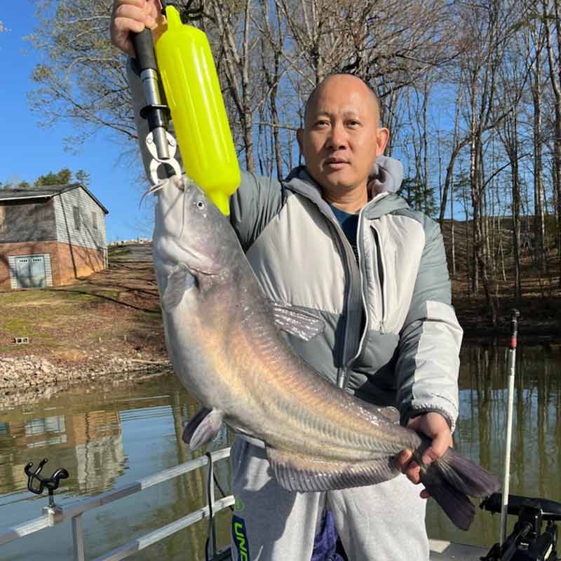 AHQ INSIDER Lake Wylie (NC/SC) 2022 Week 16 Fishing Report – Updated April 22