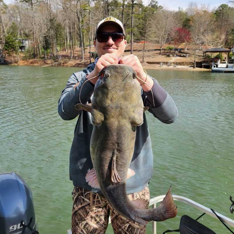 AHQ INSIDER Lake Wylie (NC/SC) 2023 Week 13 Fishing Report – Updated March 30