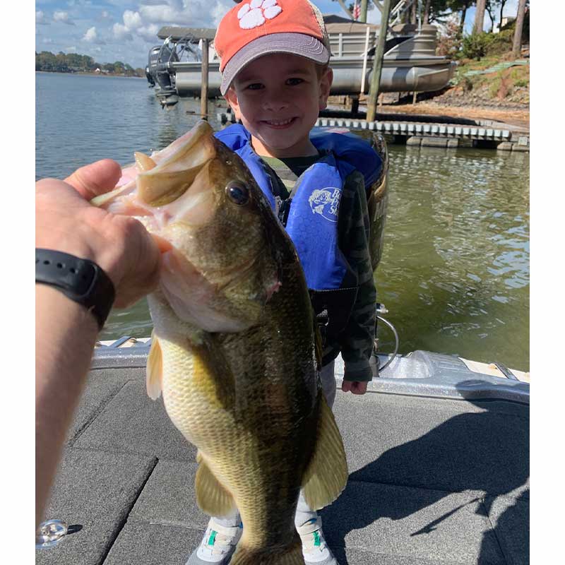 AHQ INSIDER Lake Wylie (NC/SC) 2023 Week 44 Fishing Report – Updated November 3