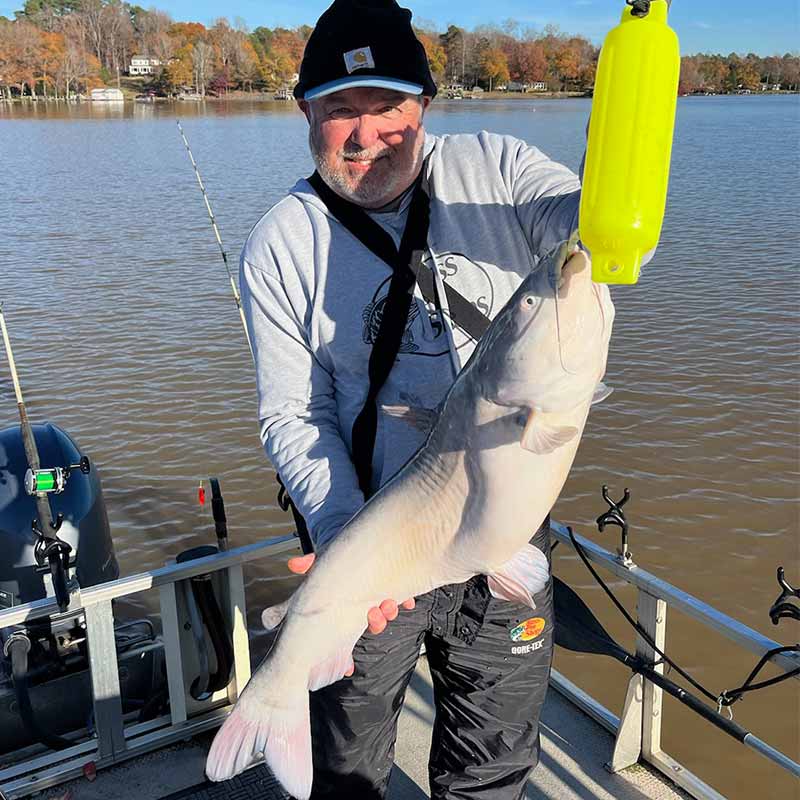 AHQ INSIDER Lake Wylie (NC/SC) 2023 Week 3 Fishing Report – Updated January 19