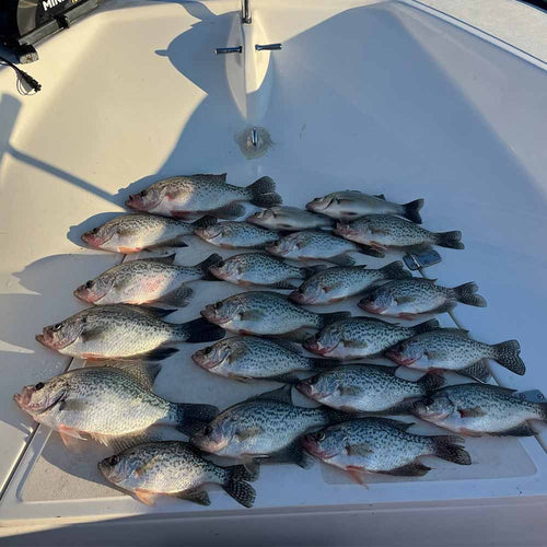 A good haul with Captain Rodger Taylor 