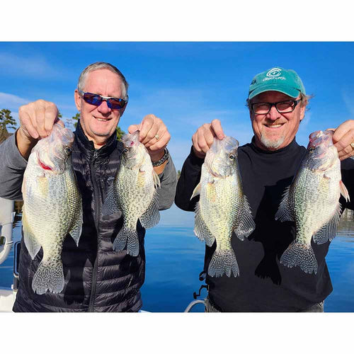 AHQ INSIDER Lake Wylie (NC/SC) 2024 Week 50 Fishing Report – Updated December 12