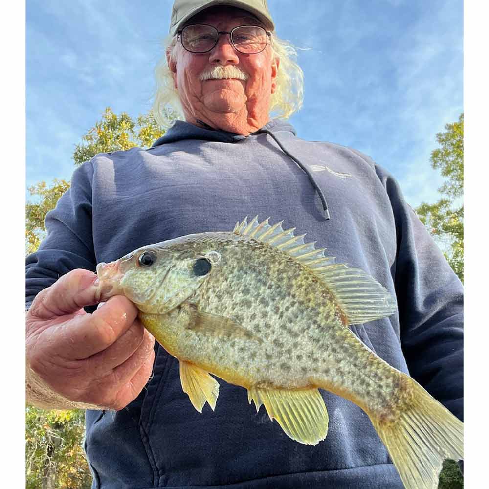 And shellcracker are with the crappie!