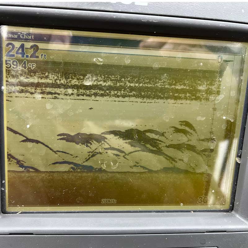 AHQ INSIDER Lake Wylie (NC/SC) 2022 Week 12 Fishing Report – Updated March 24