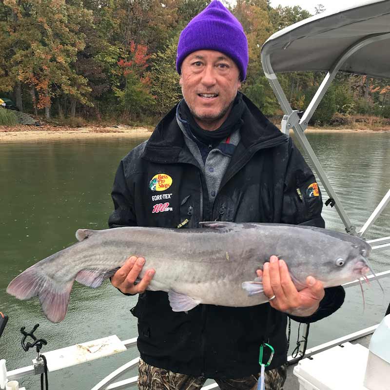 AHQ INSIDER Lake Wylie (NC/SC) Fall 2021 Fishing Report – Updated November 11
