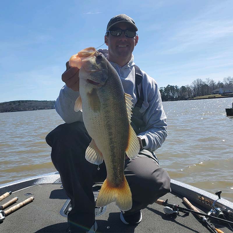 AHQ INSIDER Lake Wylie (NC/SC) Spring 2020 Fishing Report – Updated March 12