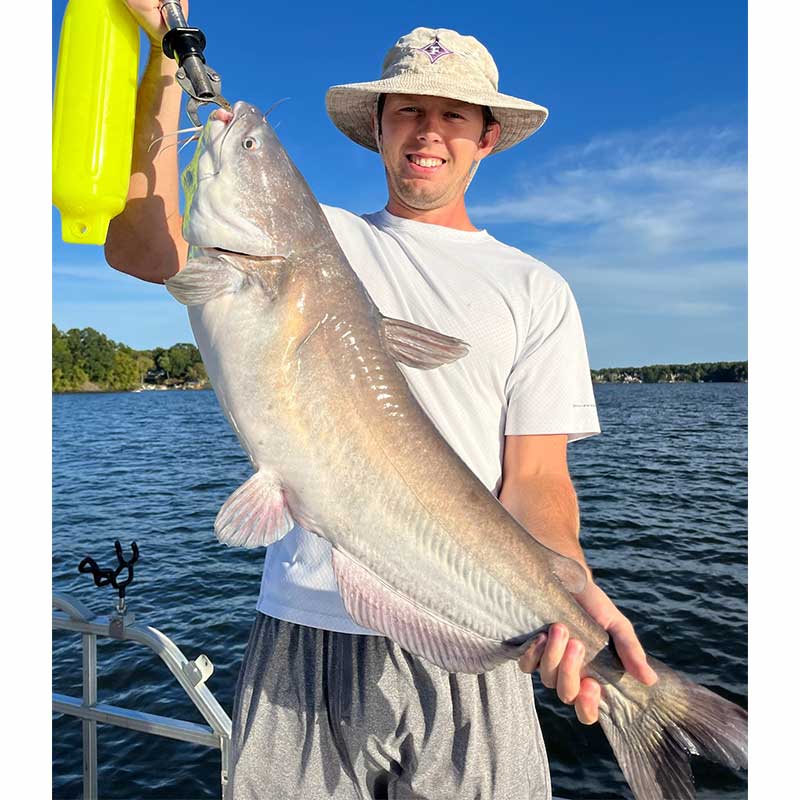 AHQ INSIDER Lake Wylie (NC/SC) 2022 Week 40 Fishing Report – Updated October 6