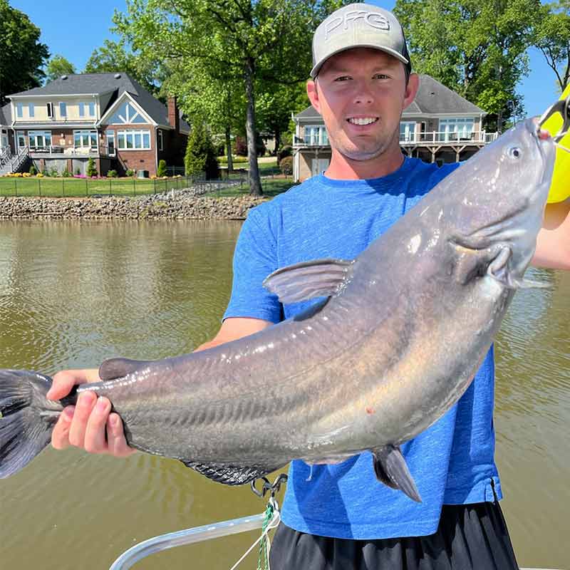 AHQ INSIDER Lake Wylie (NC/SC) 2022 Week 24 Fishing Report – Updated June 17