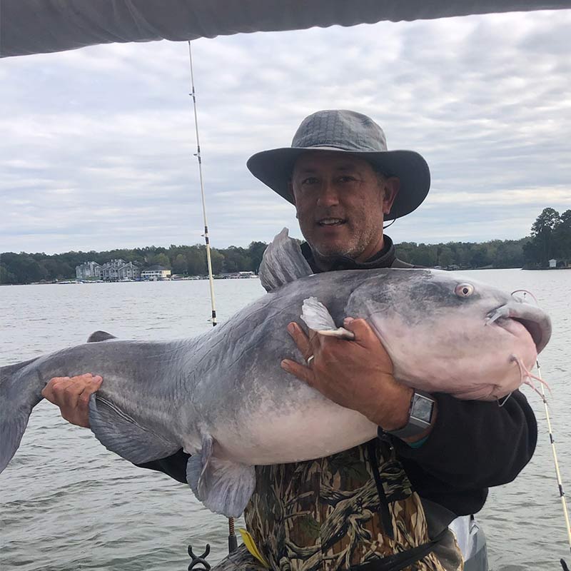 AHQ INSIDER Lake Wylie (NC/SC) Fall 2020 Fishing Report – Updated November 25