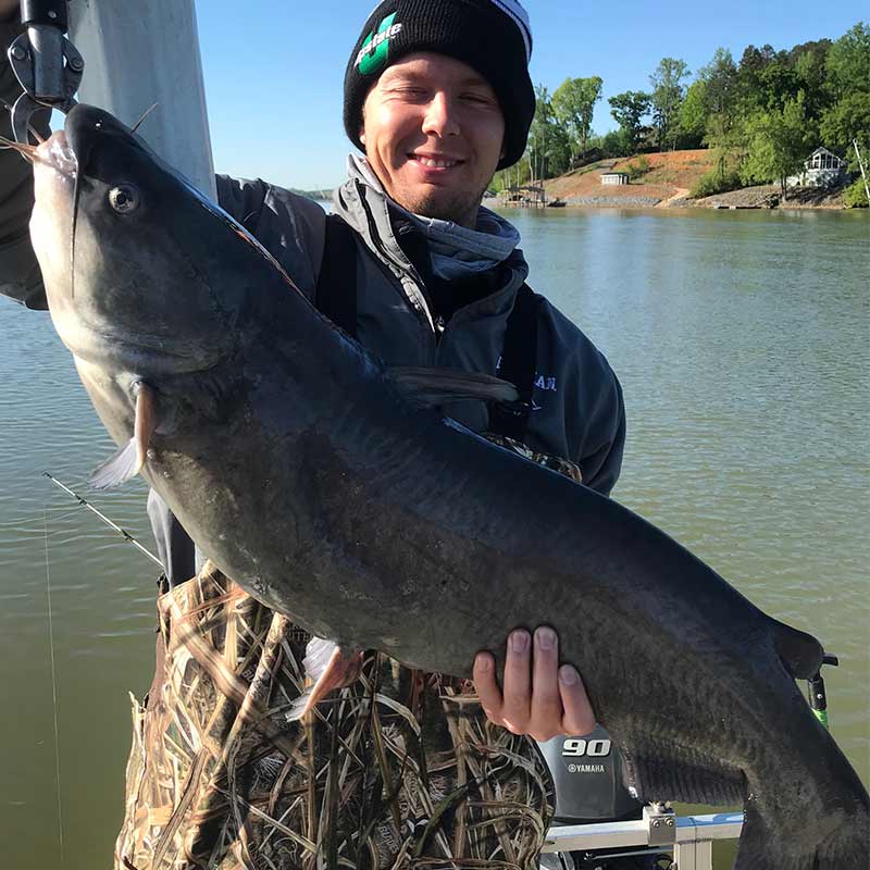 AHQ INSIDER Lake Wylie (NC/SC) Spring 2020 Fishing Report – Updated April 15