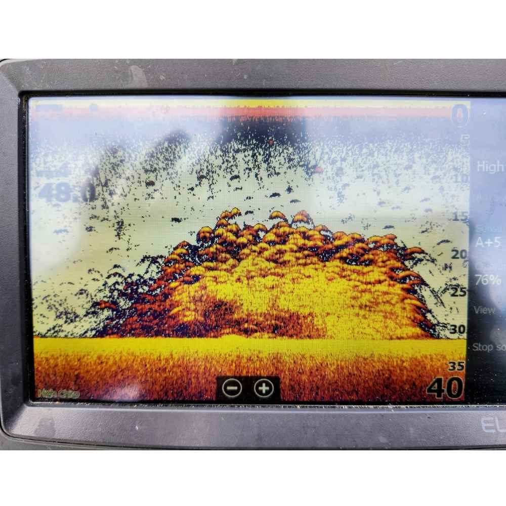 Now that's a school of crappie! - courtesy of Captain Chris Nichols