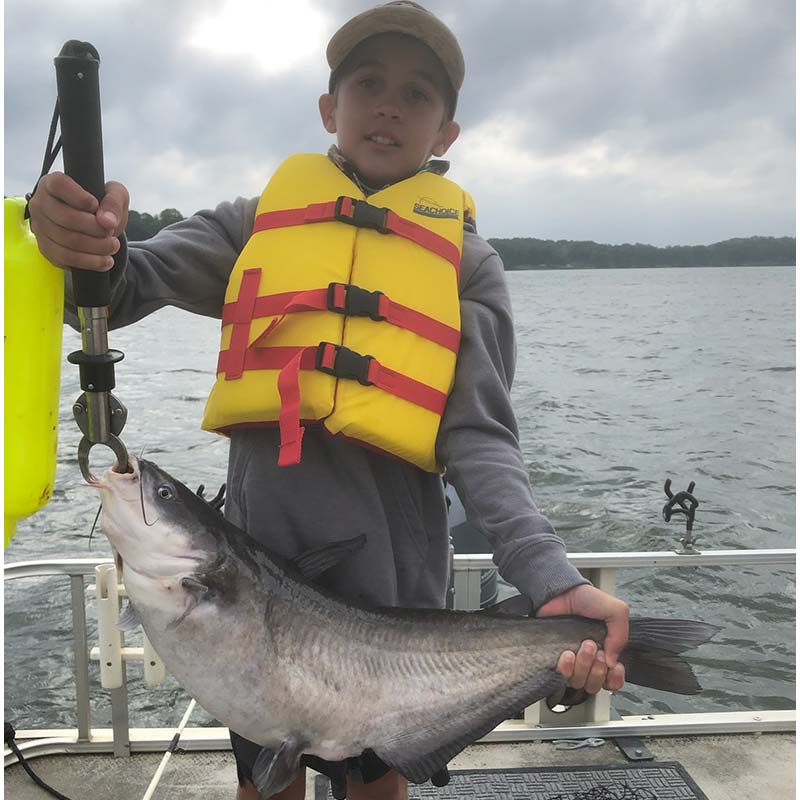 AHQ INSIDER Lake Wylie (NC/SC) Summer 2021 Fishing Report – Updated September 2