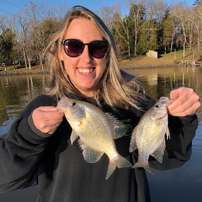 AHQ INSIDER Lake Wylie (NC/SC) 2023 Week 5 Fishing Report – Updated February 2