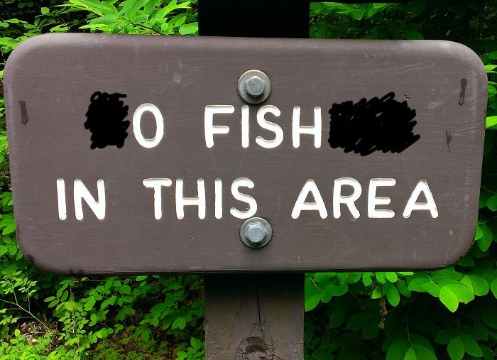 AHQ INSIDER Lake Wylie (NC/SC) Fall 2020 Fishing Report – Updated November 19