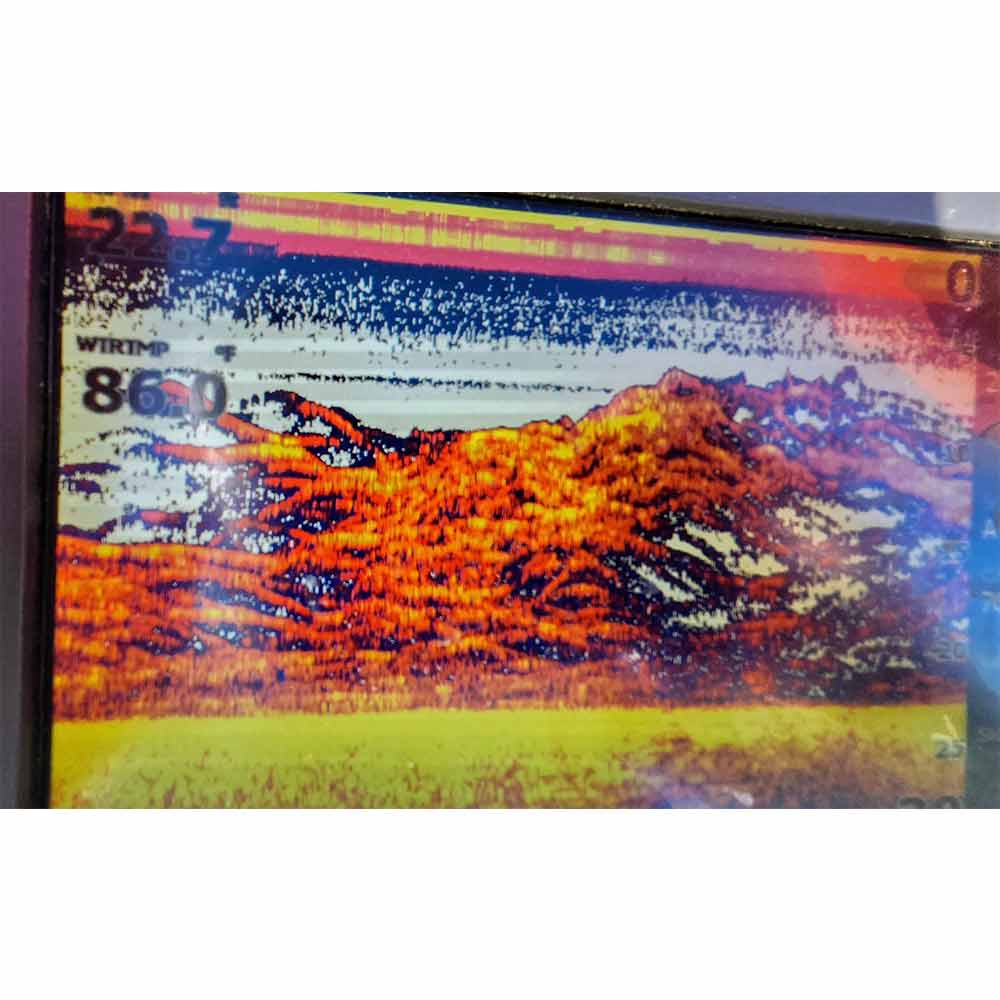 Did someone say perch? - photo courtesy of Captain Chris Nichols