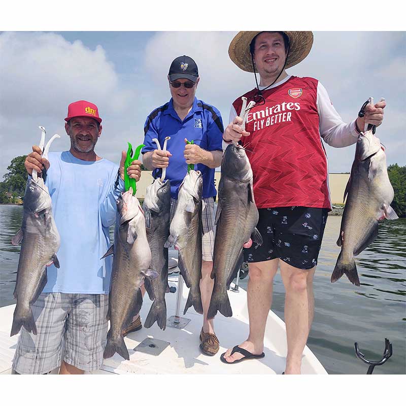 AHQ INSIDER Lake Wylie (NC/SC) 2023 Week 31 Fishing Report – Updated August 4
