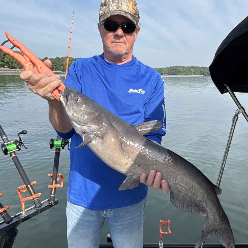 AHQ INSIDER Lake Wylie (NC/SC) May 2026 Fishing Forecast and Report – Updated May 5