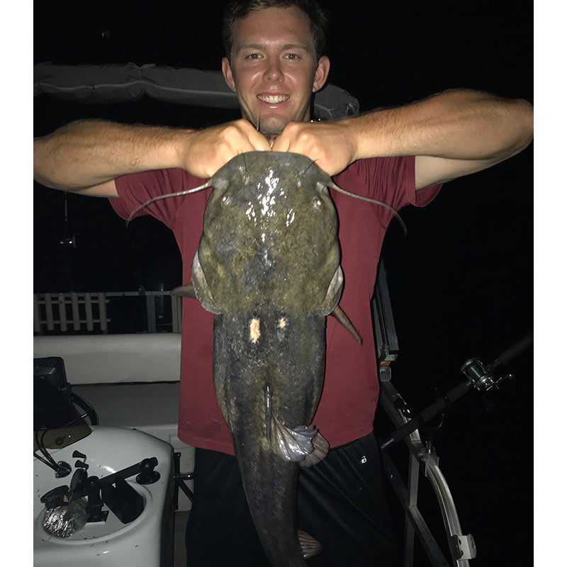 AHQ INSIDER Lake Wylie (NC/SC) Summer 2020 Fishing Report – Updated August 27