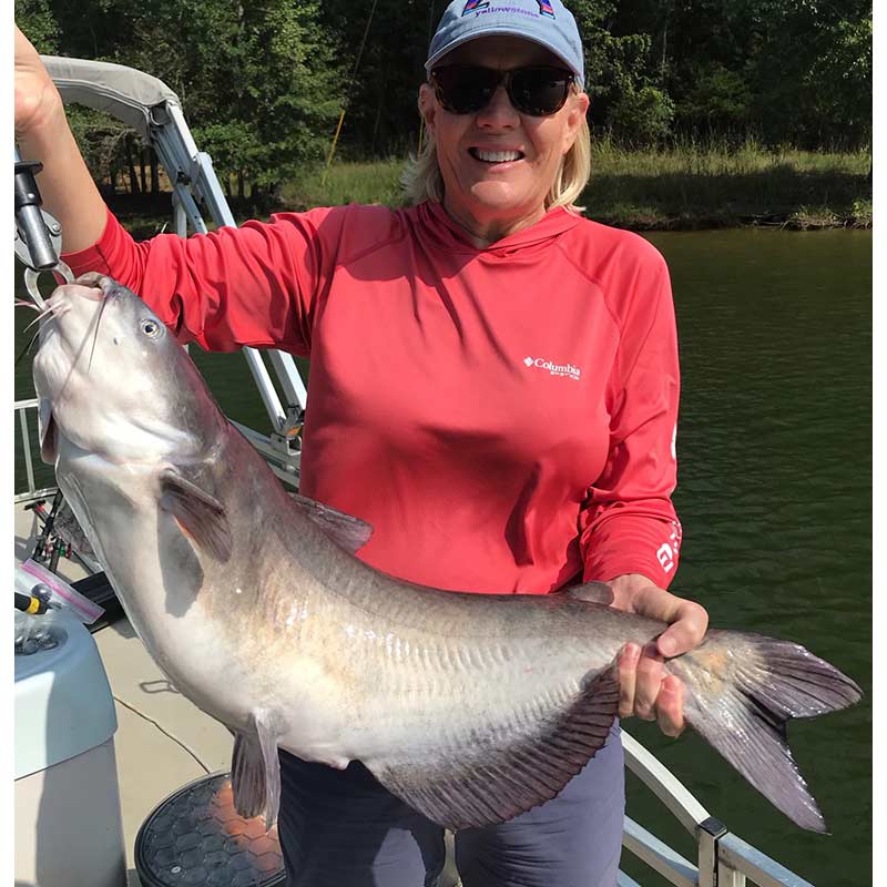 AHQ INSIDER Lake Wylie (NC/SC) Spring 2021 Fishing Report – Updated January 13