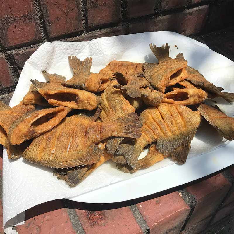 AHQ INSIDER Lake Wylie (NC/SC) Summer 2021 Fishing Report – Updated July 9