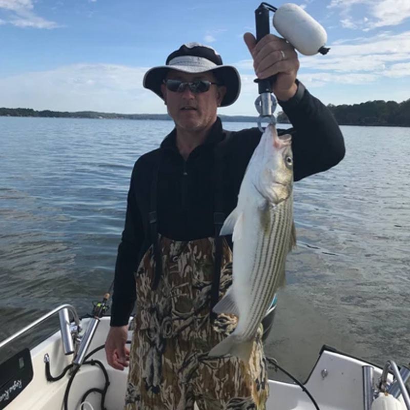 AHQ INSIDER Lake Wateree (SC) Fall 2019 Fishing Report – Updated November 21