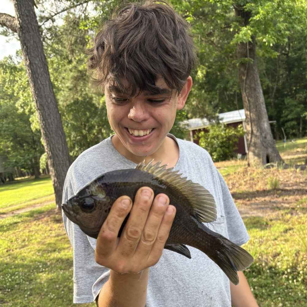 AHQ INSIDER Santee Cooper (SC) May 2026 Fishing Forecast and Report – Updated May 14