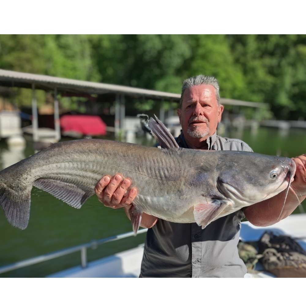 AHQ INSIDER Lake Wylie (NC/SC) May 2026 Fishing Forecast and Report – Updated May 19