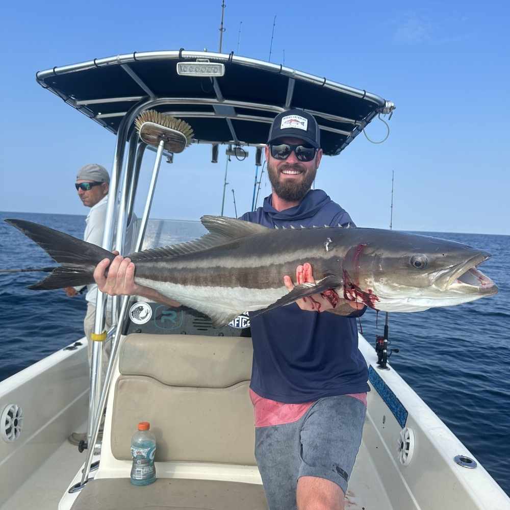 AHQ INSIDER Charleston (SC) May 2026 Fishing Forecast and Report – Updated May 21