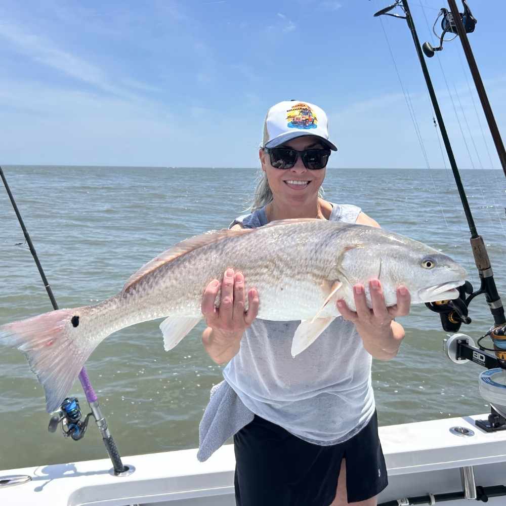AHQ INSIDER Hilton Head Island (SC) May 2026 Fishing Forecast and Report – Updated May 22