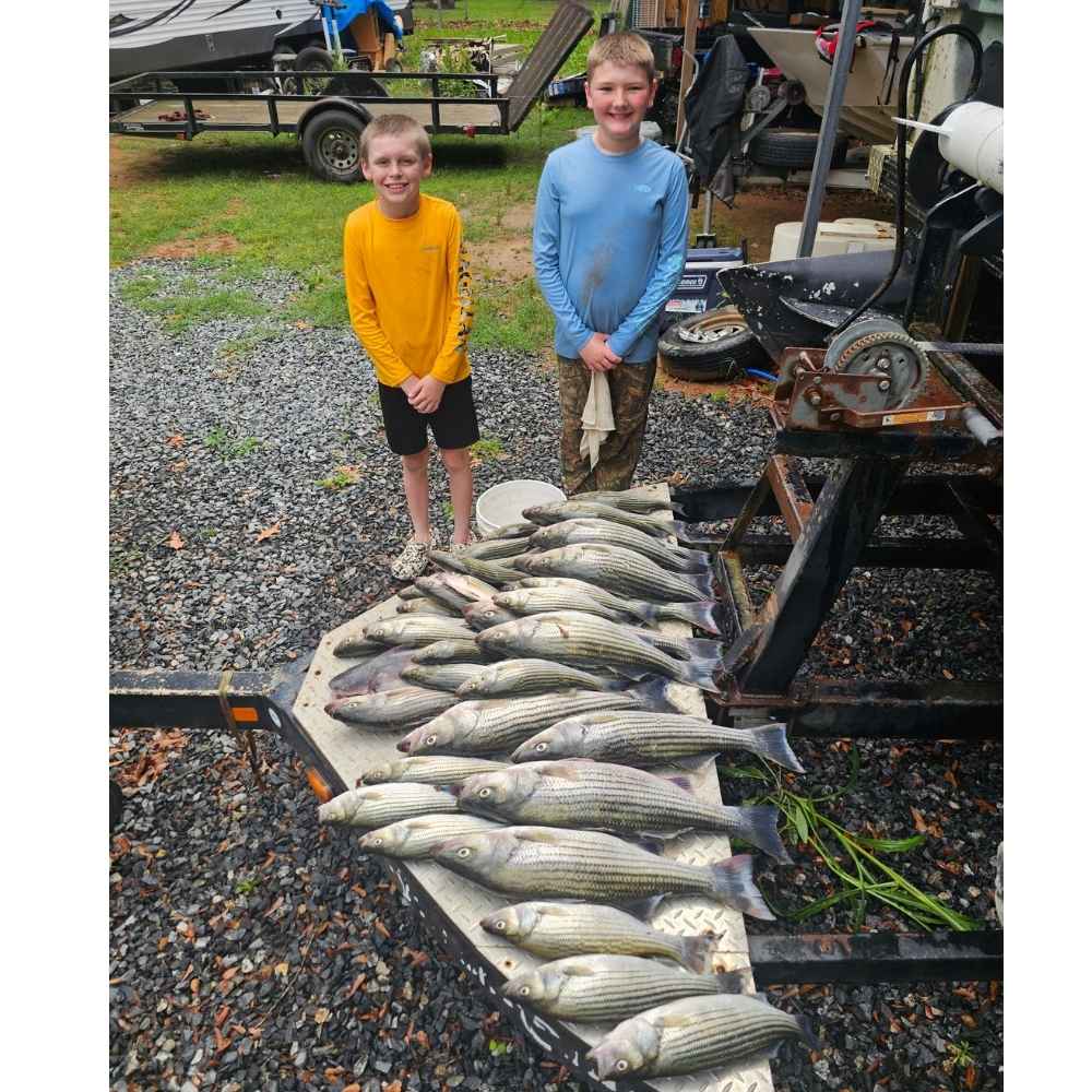 AHQ INSIDER Lake Wateree (SC) May 2026 Fishing Forecast and Report – Updated May 26