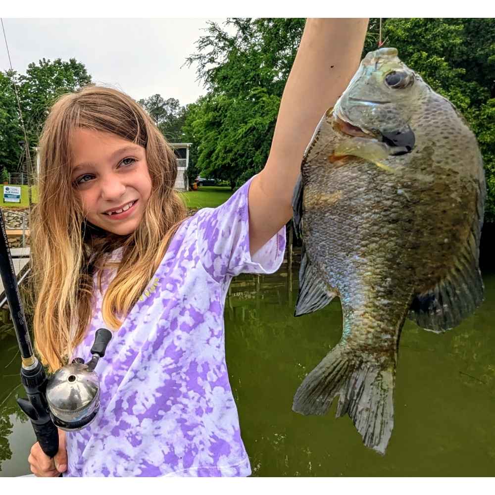 5/26 Catch of the Day - Lake Wateree Bream