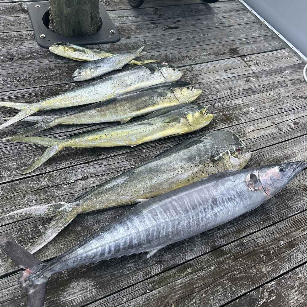 AHQ INSIDER Charleston (SC) June 2026 Fishing Report and Forecast - Updated June 9