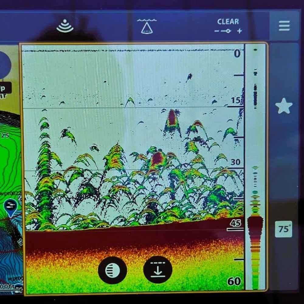 AHQ INSIDER Lake Monticello (SC) June 2026 Fishing Report and Forecast - Updated June 16