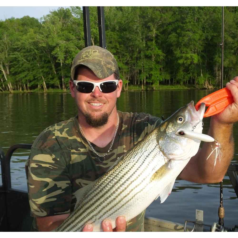AHQ INSIDER Lake Wateree (SC) June 2026 Fishing Report and Forecast - Updated June 16