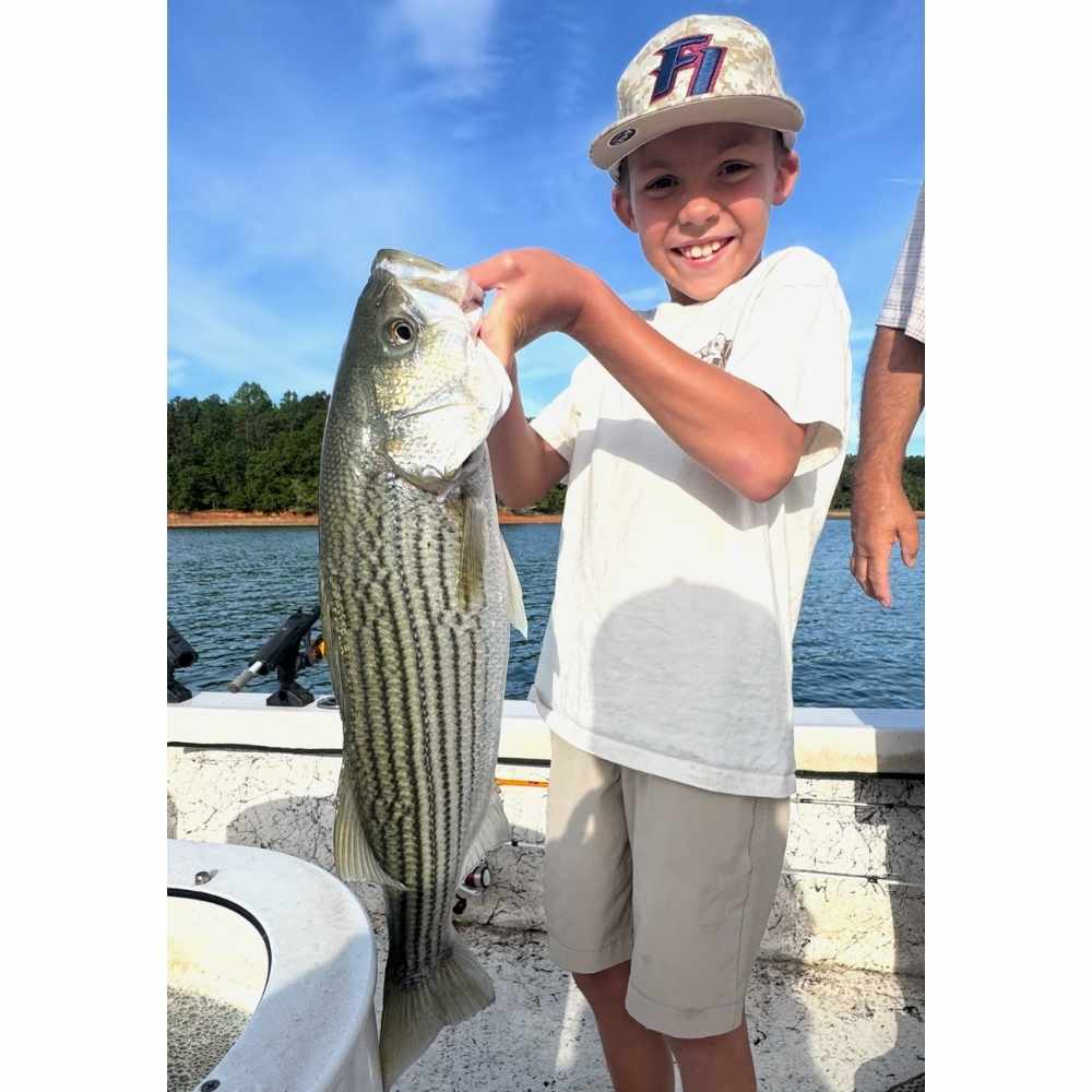 AHQ INSIDER Lake Hartwell (GA/SC) June 2026 Fishing Report and Forecast – Updated June 24