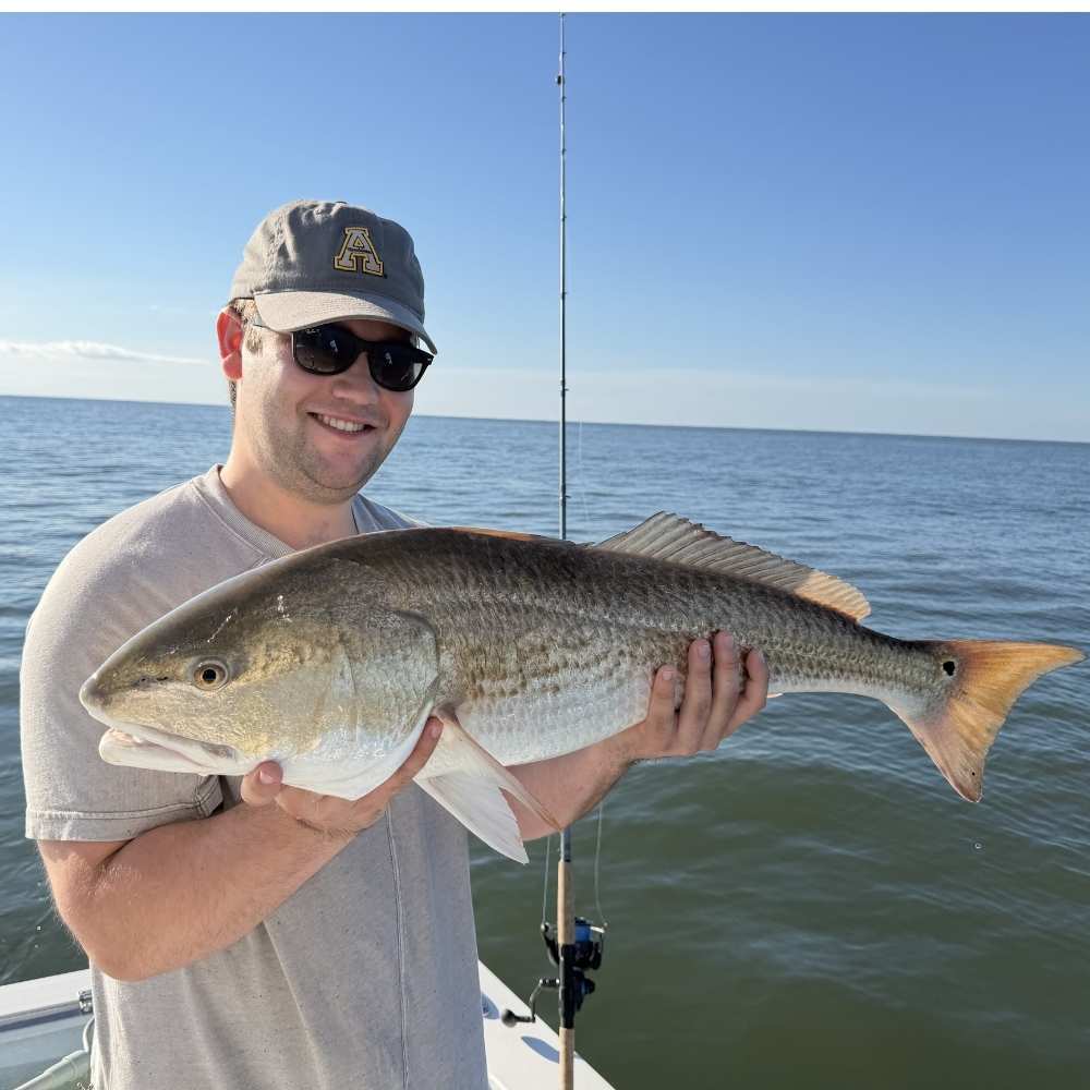 AHQ INSIDER Hilton Head Island (SC) June 2026 Fishing Report and Forecast - Updated June 26