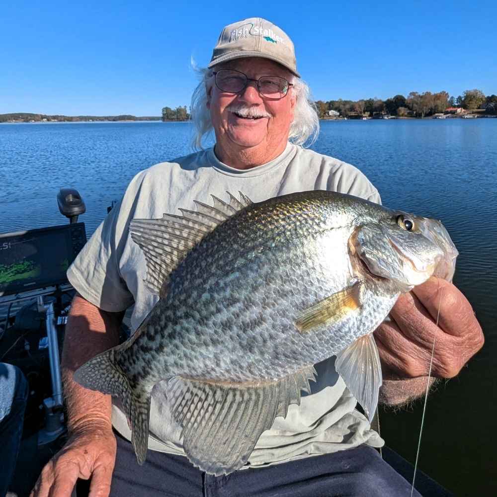 AHQ INSIDER Lake Wateree (SC) 2026 Week 28 Fishing Report - Updated July 8